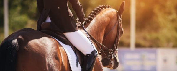 Faire du cheval