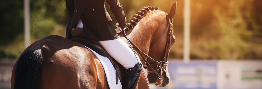 Faire du cheval