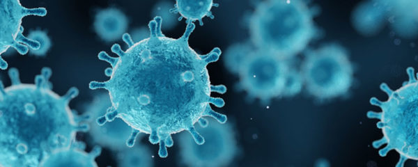 Le coronavirus