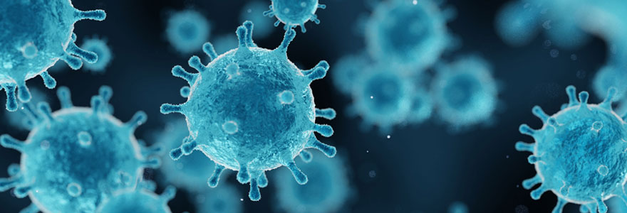 Le coronavirus