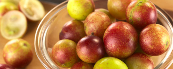 Le Camu Camu