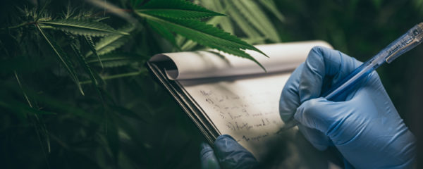 CBD