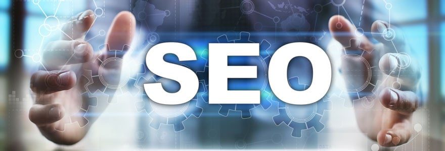 consultant SEO