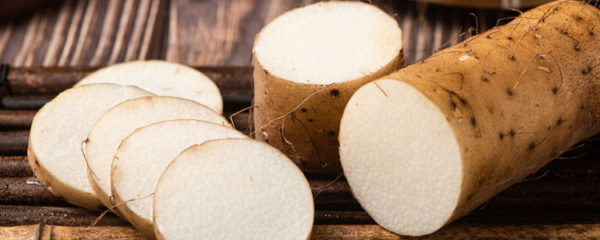 Yam bio