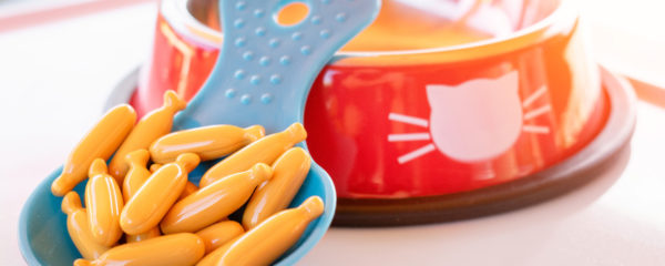 Compléments alimentaires pour animaux